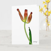 "Tulpe" durch J. Maya Luz Karte (Gelbe Blume)