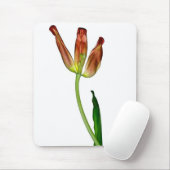 "Tulpe" durch J. Maya Luz Mousepad (Mit Mouse)