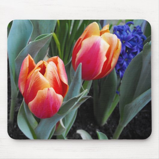 Tulpe-EIn Blume der Liebe Mousepad (Vorne)