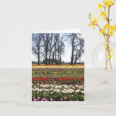 Tulpe fängt Grußkarte auf Karte (Gelbe Blume)