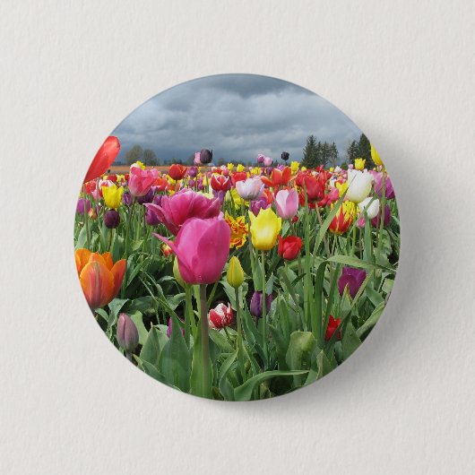 Tulpe-Feld Button (Vorderseite)