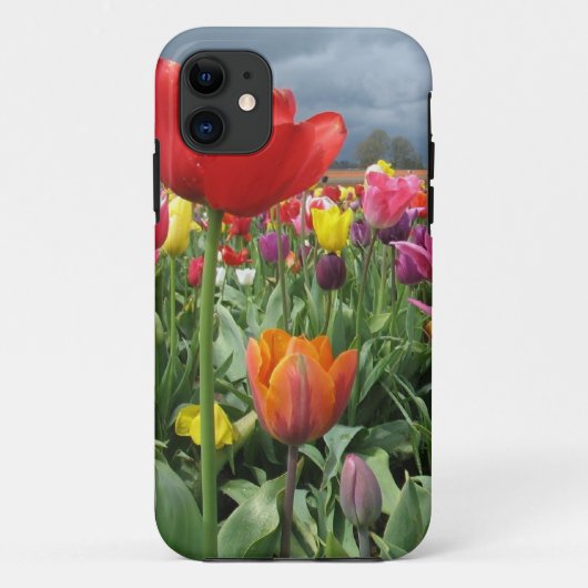 Tulpe-Feld Case-Mate iPhone Hülle (Rückseite)