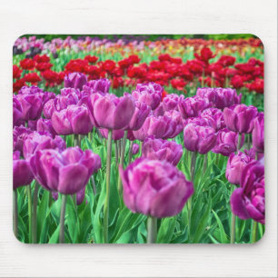 Tulpe-Feld Mousepad