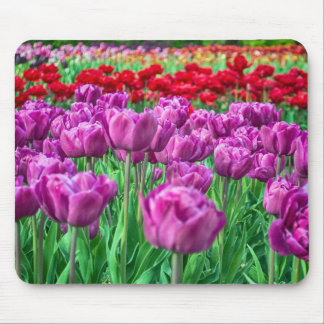 Tulpe-Feld Mousepad