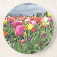 Tulpe-Feld-Untersetzer