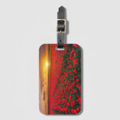 Tulpe-Felder am Sonnenuntergang in den Gepäckanhänger (Vorderseite Vertikal)