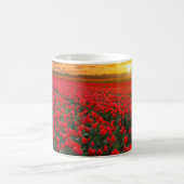 Tulpe-Felder am Sonnenuntergang in den Kaffeetasse (Mittel)