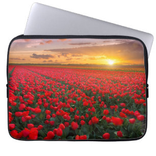 Tulpe-Felder am Sonnenuntergang in den Laptopschutzhülle