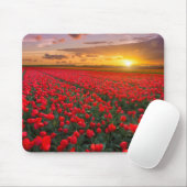Tulpe-Felder am Sonnenuntergang in den Mousepad (Mit Mouse)
