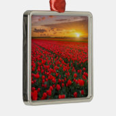 Tulpe-Felder am Sonnenuntergang in den Ornament Aus Metall (Rechts)