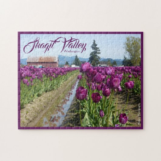 Tulpe-Felder (lila) u. Scheune (Skagit Tal) Puzzle (Horizontal)