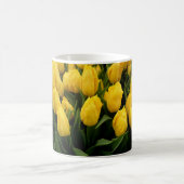 Tulpe-Festival - 27 Tassen (Mittel)