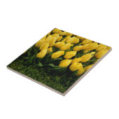 Tulpe-Festival - Fliese 27 (Seite)