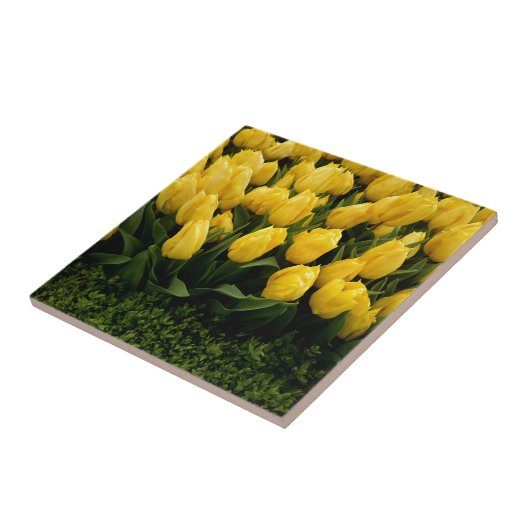 Tulpe-Festival - Fliese 27 (Seite)