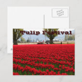 Tulpe-Festival Postkarte (Vorne/Hinten)