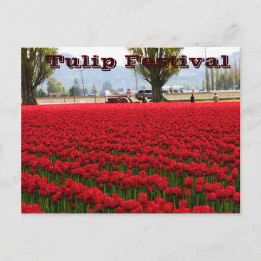 Tulpe-Festival Postkarte (Vorderseite)