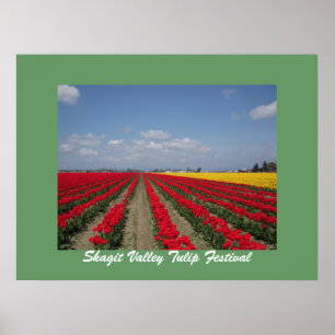 Tulpe-Festival, Skagit Tal-Tulpe-Festival Poster