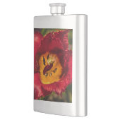 Tulpe Flachmann (Links)