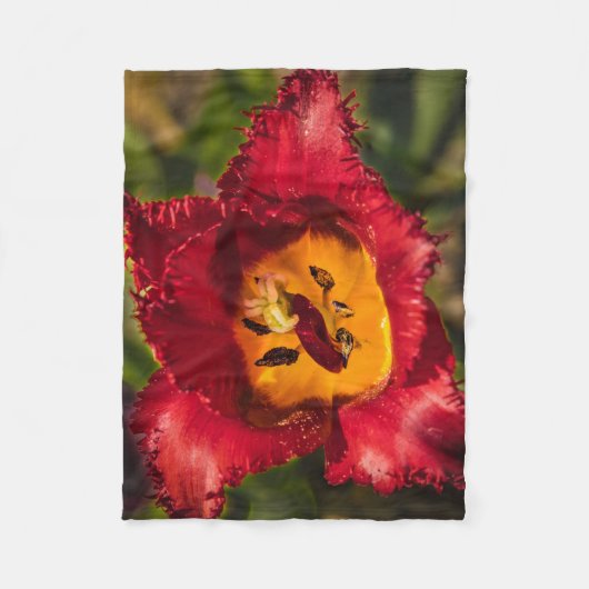 Tulpe Fleecedecke (Vorderseite)