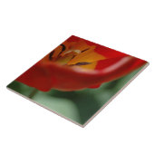 Tulpe Fliese (Seite)