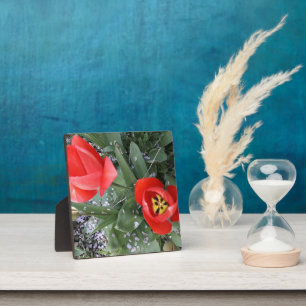 Tulpe Fotoplatte