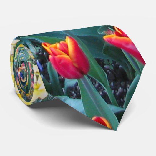 Tulpe-Garten Krawatte (Gerollt)