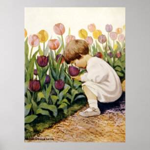 Tulpe-Garten Poster