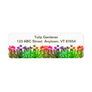Tulpe-Garten-Regenbogen kundengerecht
