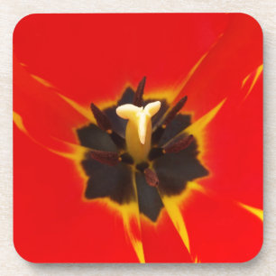 Tulpe Getränkeuntersetzer