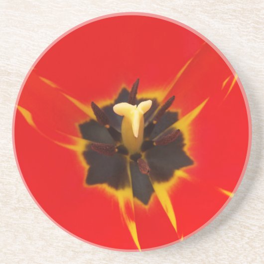 Tulpe Getränkeuntersetzer (Vorne)