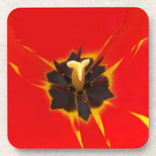 Tulpe Getränkeuntersetzer