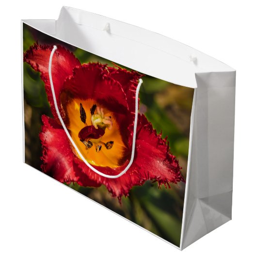 Tulpe Große Geschenktüte (Rückseite Schrägansicht)