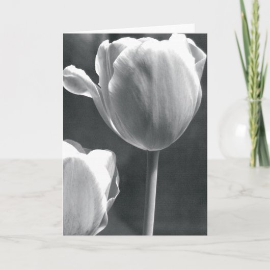 Tulpe in Schwarzweiss Karte (Vorderseite)