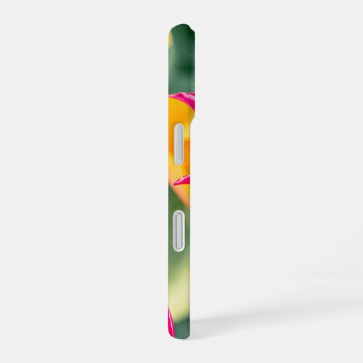 Tulpe iPhone 16 Hülle (Rechte Seite)
