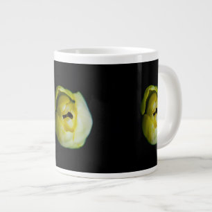 Tulpe Jumbo-Tasse