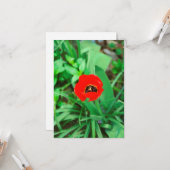 Tulpe Karte (Vorderseite/Rückseite Beispiel)