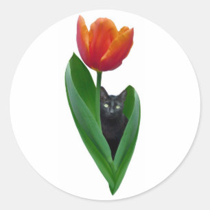 Tulpe-Katzen-Aufkleber Runder Aufkleber