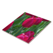 Tulpe-Keramikfliese Fliese (Seite)