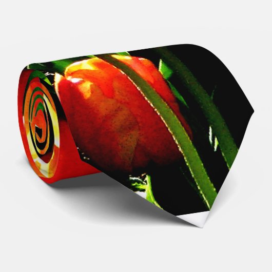 Tulpe-Kunst Krawatte (Gerollt)