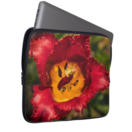 Tulpe Laptopschutzhülle (Vorne Rechts)