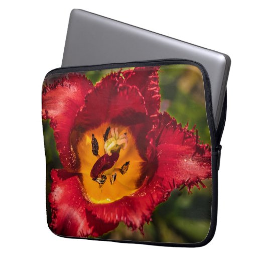 Tulpe Laptopschutzhülle (Vorderseite Links)