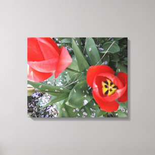 Tulpe Leinwanddruck