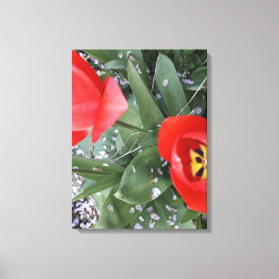 Tulpe Leinwanddruck