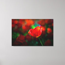 Tulpe Leinwanddruck