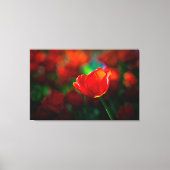 Tulpe Leinwanddruck (Vorderseite)