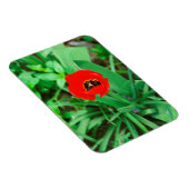 Tulpe Magnet (Rechte Seite)
