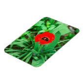Tulpe Magnet (Linke Seite)