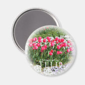 Tulpe Magnet (Vorderseite/Rückseite)