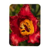 Tulpe Magnet (Vertikal)