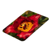 Tulpe Magnet (Linke Seite)